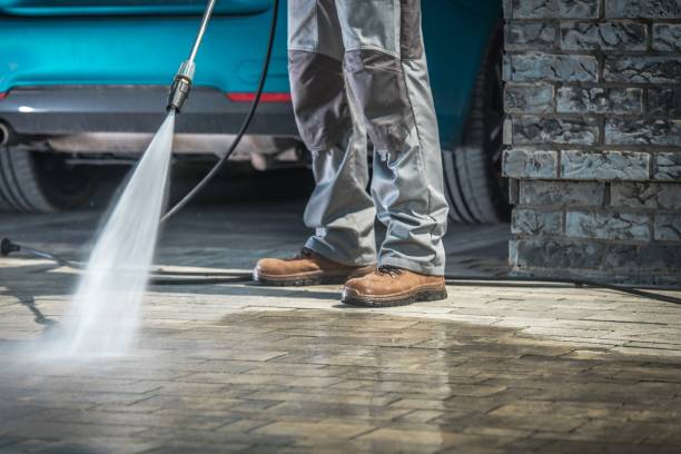 Best Roof Washing  in Clearwater, FL