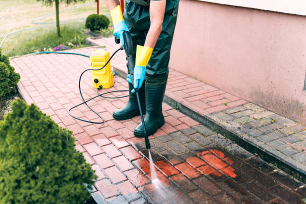 Best Dumpster Area Cleaning  in Clearwater, FL